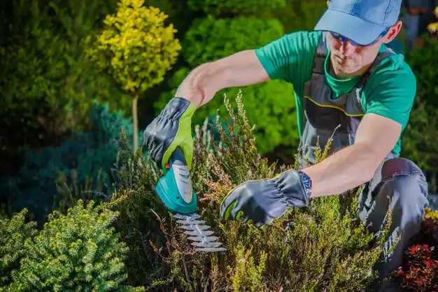 landscaping services Magee